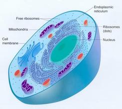 曹虹劍：發展中國戰略性新興產業