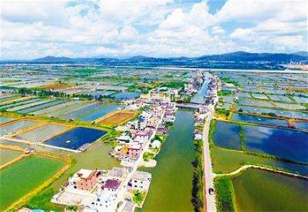 珠海圓夢國家級農業科技園