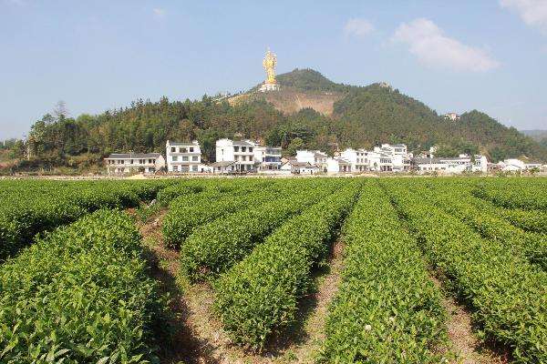 湖南寧鄉國家級農業科技園區打造湘菜產業“技術硅谷”