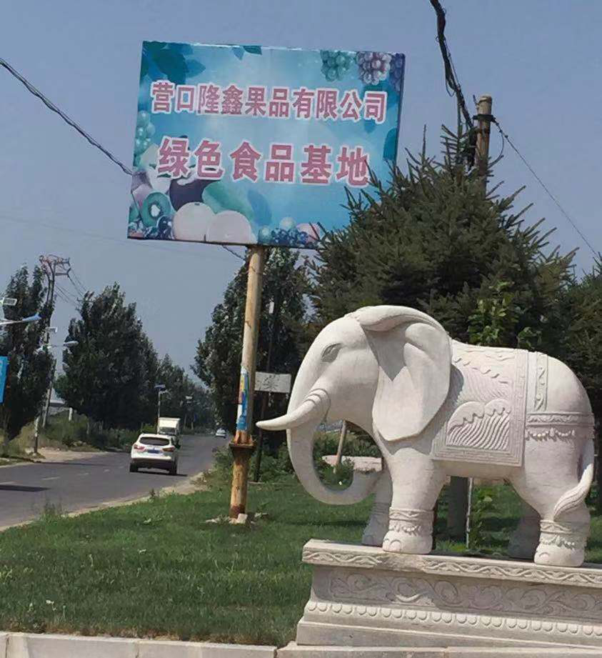 東北水果之鄉迎來發展新機遇，蓋州爭創省級現代農業產業園