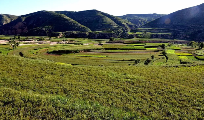 承載“千年藥鄉”之美譽，甘肅隴西搶抓國家火炬特色產業基地建設新機遇